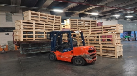 Ahşap Kafes Sandık