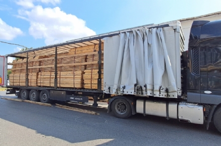 Kereste Hammadde satışlarımız başlamıştır